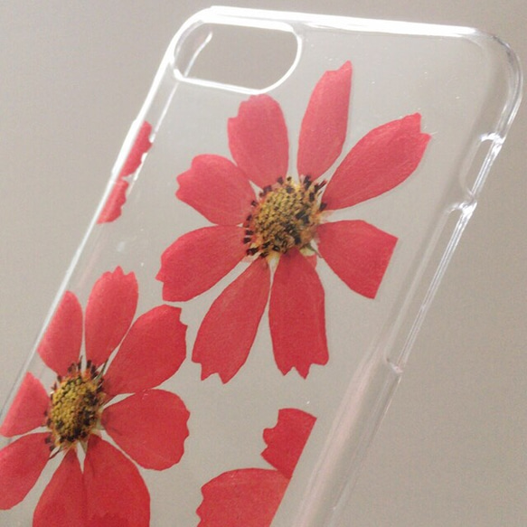 【即日発送・送料無料】コスモスのiPhone7plus・iPhone8plus押し花ケース 4枚目の画像