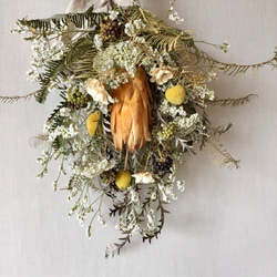 スモークツリー スワッグ ドライフラワー hanamame 通販 16356526