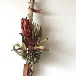 スモークツリー スワッグ ドライフラワー hanamame 通販 16356526