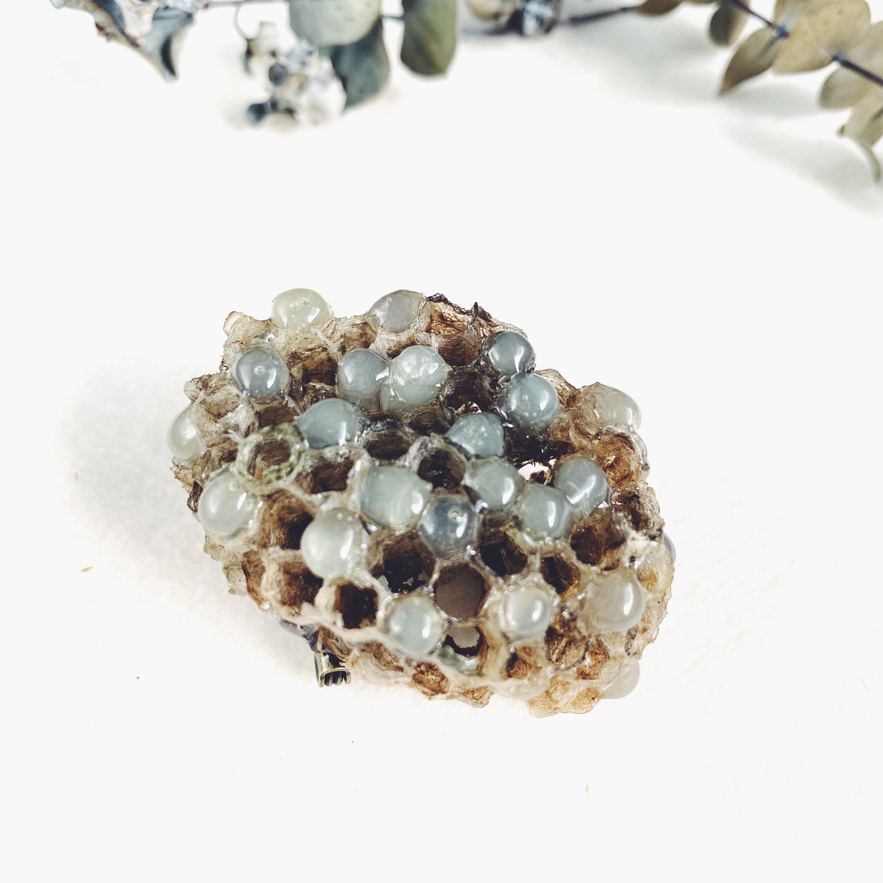 ハチノスブローチ　Beehive Brooch
