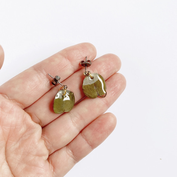 ユーカリのピアス　Eucalyptus Earrings 3枚目の画像