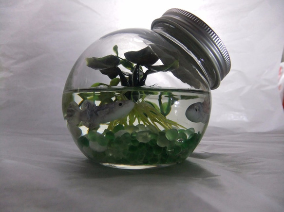 アクアリウムオブジェ～水晶沼２～ 10枚目の画像