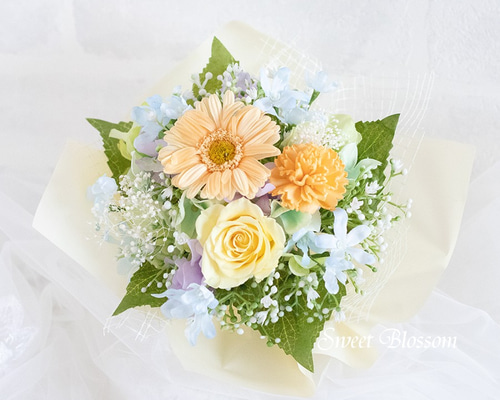 0_aff02d2669c7485b2e3182f8032f