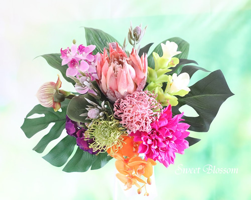 0_9783231f3bb2de7c6b09d2b33cae