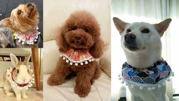 波波頸圈中號 - 手工製作的寵物頸飾，狗圍巾，貓領巾，寵物飾品 第4張的照片