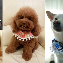 波波頸圈中號 - 手工製作的寵物頸飾，狗圍巾，貓領巾，寵物飾品 第3張的照片