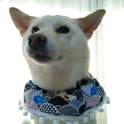 波波頸圈中號 - 手工製作的寵物頸飾，狗圍巾，貓領巾，寵物飾品 第4張的照片