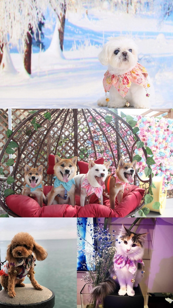 小丑頸圈小號 - 手工製作的寵物頸飾，狗圍巾，貓領巾，寵物飾品 第5張的照片