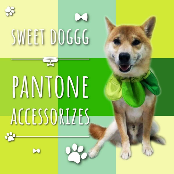 Pantone圈中號 - 手工製作的寵物頸飾，狗圍巾，貓領巾，寵物飾品 第2張的照片