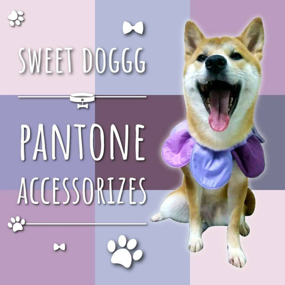 Pantone圈大號 - 手工製作的寵物頸飾，狗圍巾，貓領巾，寵物飾品 第5張的照片