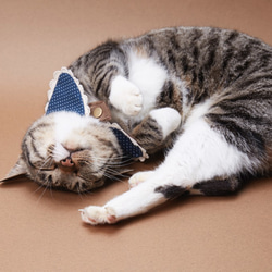 リトルレディース01手作りのカスタムの猫の首輪 7枚目の画像