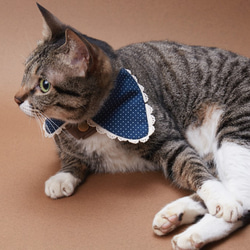 リトルレディース01手作りのカスタムの猫の首輪 8枚目の画像