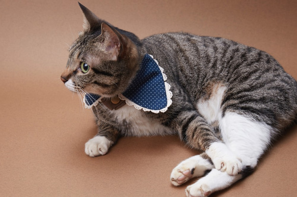 リトルレディース01手作りのカスタムの猫の首輪 8枚目の画像