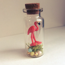 ガラス瓶にフラミンゴ 3枚目の画像