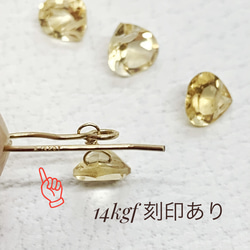 【JORIE】BALTIC AMBER × OBCIDIAN earrings 6枚目の画像