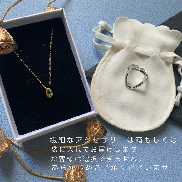 【JORIE】TWIN SQUARE silver925 necklace 5枚目の画像