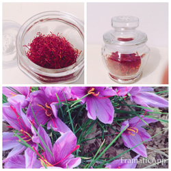 サフラン100%天然物 Saffron (10G 以上ご購入のお客様に1Gのサフランをプレゼント致します。 1枚目の画像