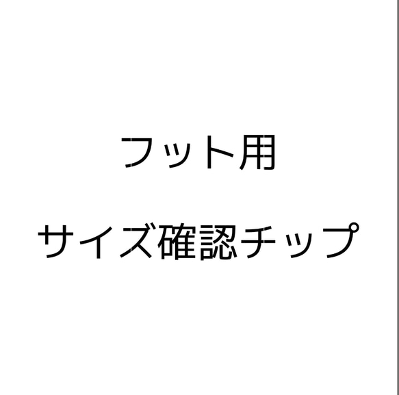 フット サイズ確認用ネイルチップ 1枚目の画像