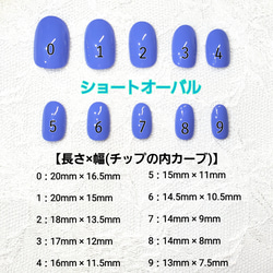  第4張的照片