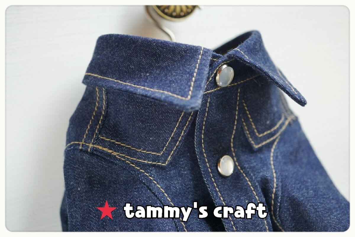 犬服 S わんこの普段着アメグラ青