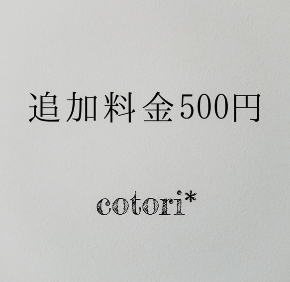 追加料金500円 1枚目の画像