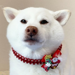 クリスマスチョーカー【サンタ特大飾り】大型犬用★セミオーダー★ 5枚目の画像
