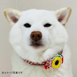 【特別価格】完成品（中型犬用）ひまわりチョーカー【蝶々付き特大ひまわり】 6枚目の画像