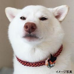 ★セミオーダー★（超小型犬用）ハロウィンチョーカー 4枚目の画像