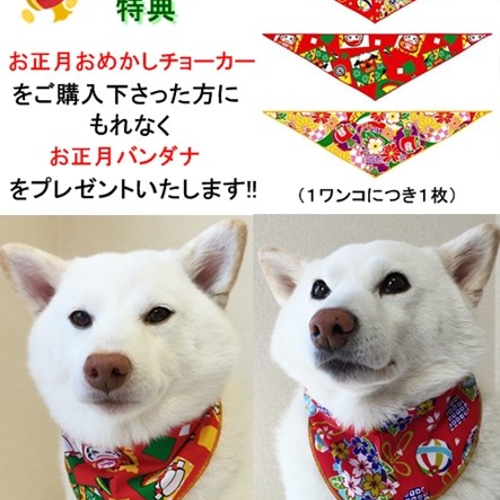 楽天市場】犬用チョーカー お正月 アクセサリー リボン 和柄