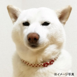 完成品（大型犬用）ワンコチョーカー【クローバー／細タイプ】 2枚目の画像