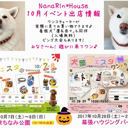 10月イベント出店のお知らせ♪ 1枚目の画像