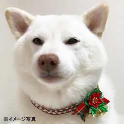 ★セミオーダー★クリスマスチョーカー（飾り付）【超小型犬用】 4枚目の画像