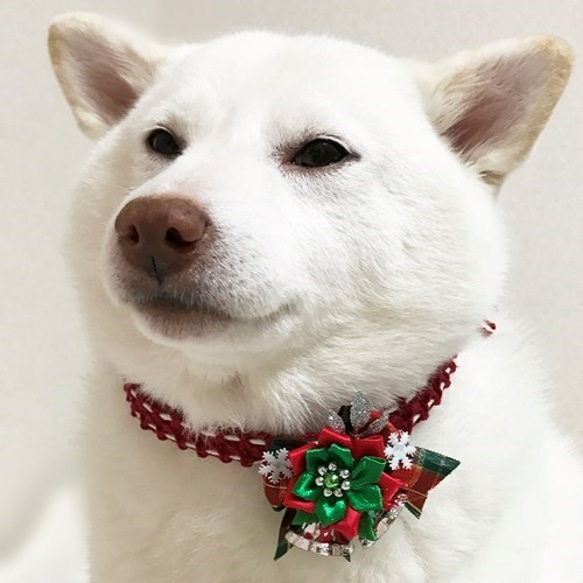 ★セミオーダー★クリスマスチョーカー（飾り付）【超小型犬用】 6枚目の画像