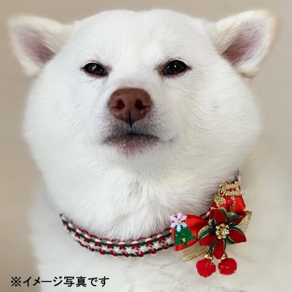 ★セミオーダー★クリスマスチョーカー（お花飾り付）【超小型犬用】 4枚目の画像