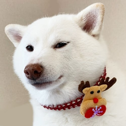 完成品（大型犬用）クリスマスチョーカー【サンタ特大飾り】★即納可★ 6枚目の画像
