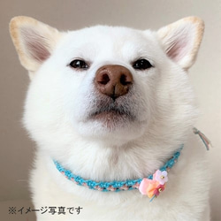 ★セミオーダー★ワンコチョーカー【プリンセス／３色花飾り】超小型犬用 7枚目の画像