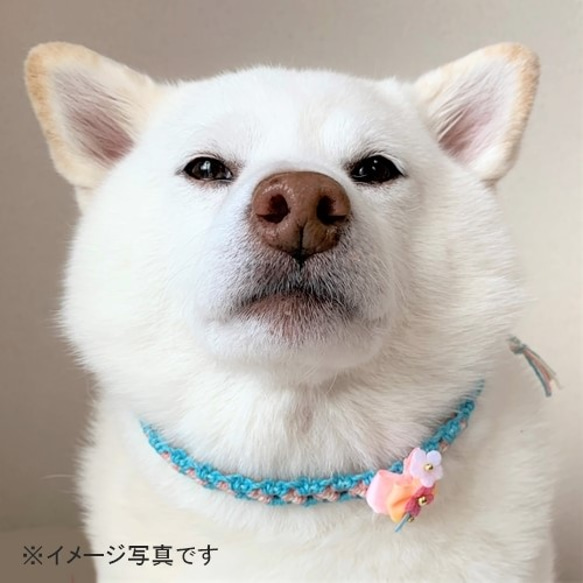 ★セミオーダー★ワンコチョーカー【プリンセス／３色花飾り】超小型犬用 7枚目の画像