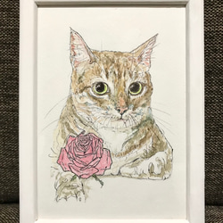 油絵 絵画【猫とピンク薔薇】 ピンクのバラを持つかわいい猫のアート プリントイラスト素材