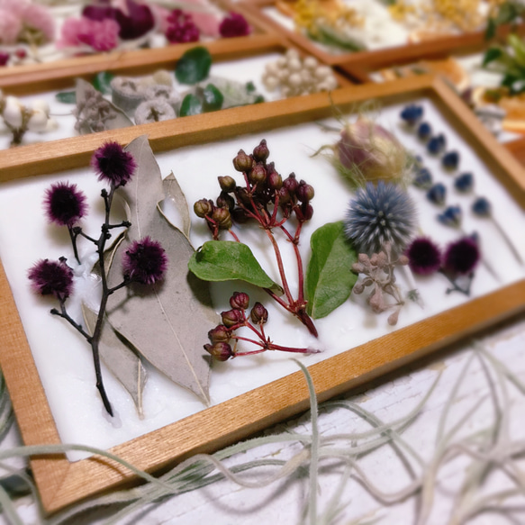 受注生産】送料無料＊植物標本の様なアロマワックスプレート♡パープル 