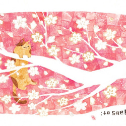 絵画「桜の枝の上のネコ」 1枚目の画像