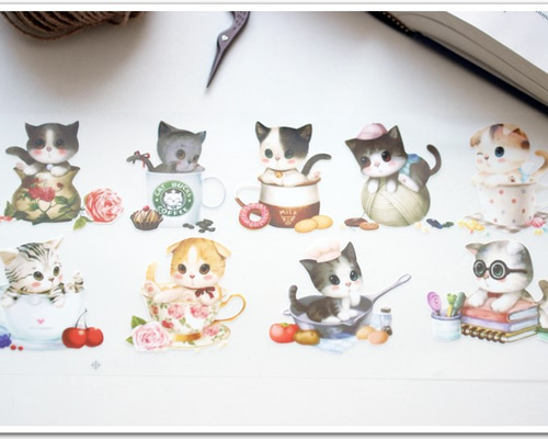 0_e3190bb4beeef947a1183a3f438b