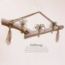 ～Drift Design～　味わい流木のお洒落な多用途３連コルクホルダー　エアプランツ　造花　インテリア 1枚目の画像