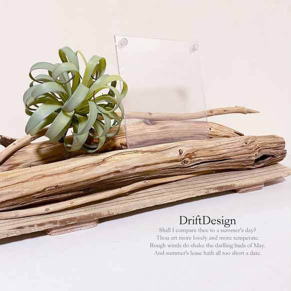 ～Drift Design～　味わい流木と造花のお洒落な組み合わせ写真立て　フォトスタンド　インテリア 2枚目の画像