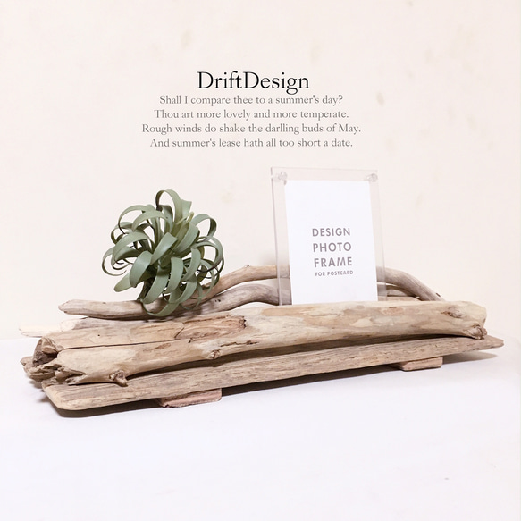 流木インテリア アート 棚 まとめ買い割引あり 流木インテリア アート