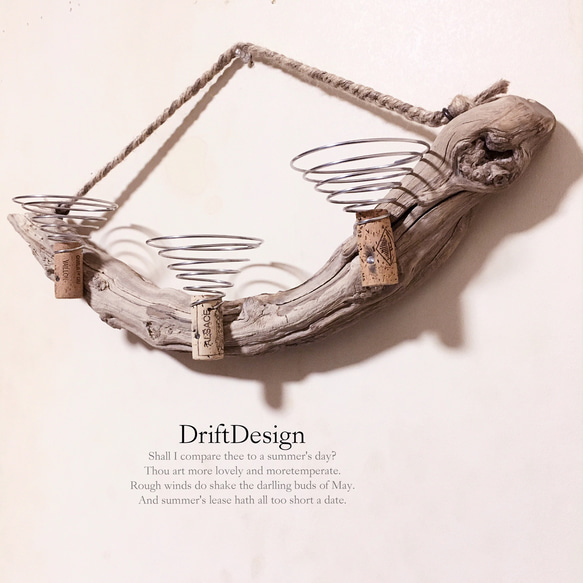 ～Drift Design～　希少味わい流木のお洒落な多用途３連コルクホルダー　エアプランツ　造花　植物　インテリア 2枚目の画像