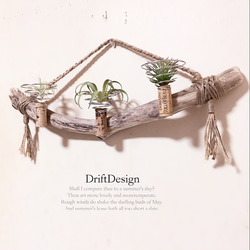 ～Drift Design～　味わい流木のお洒落な多用途３連コルクホルダー　エアプランツ　造花　インテリア　ディスプレイ 1枚目の画像