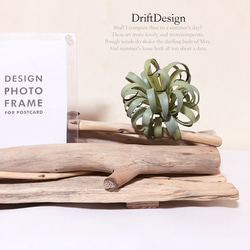 ～Drift Design～　キレイめ流木と造花のお洒落なデザインフォトスタンド　フォトフレーム　写真立て　インテリア 3枚目の画像