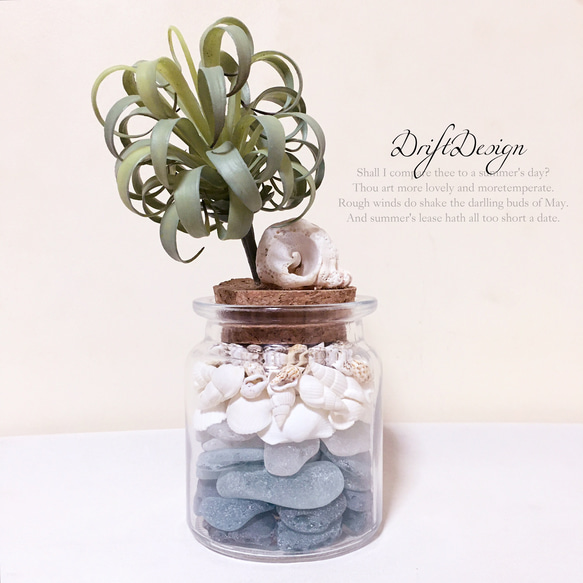 DriftDesign〜流木とシーグラスの瓶詰めのお洒落なインテリアセット