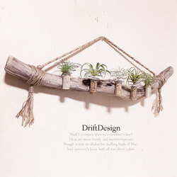 ～Drift Design～　味わい流木のお洒落な多用途５連コルクホルダー　エアプランツ　造花　植物　インテリア 2枚目の画像