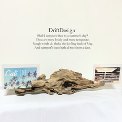 ～Drift Design～　流木のお洒落な２枚用写真立て　フォトスタンド　フォトフレーム　インテリア 1枚目の画像